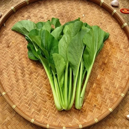Giá cải ngọt hôm nay bao nhiêu 1kg? Cập nhật mới nhất 2026