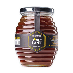 Mật ong hoa rừng Honey Land hũ 500G