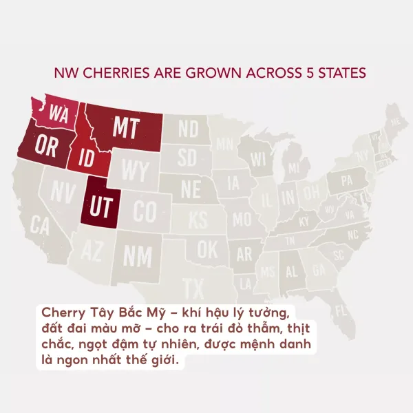 Thùng 5kg cherry Mỹ