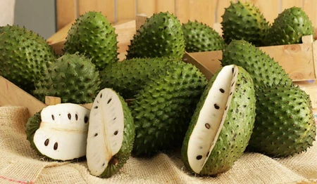 Công dụng tuyệt vời của trái mãng cầu xiêm