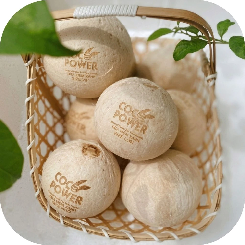 Coco-Power-2