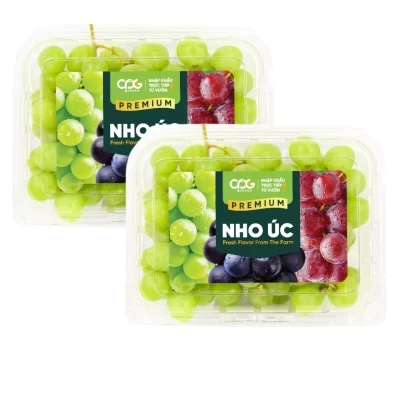 Combo 2 hộp nho xanh Úc 450g