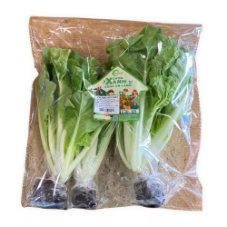 Cải dún thuỷ canh Trường Phát gói 300g