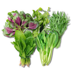 Combo 5 Loại Rau Hữu Cơ Ngon, Sạch