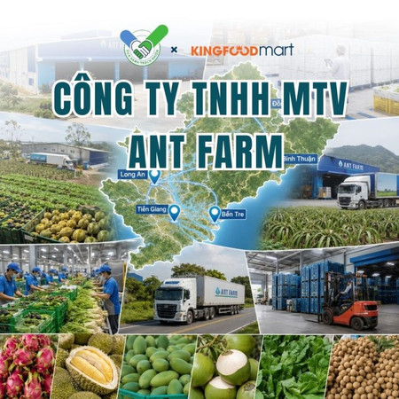 Công ty TNHH MTV Ant Farm: Nông sản chuẩn xuất khẩu trong nhóm Tick Xanh Kingfoodmart