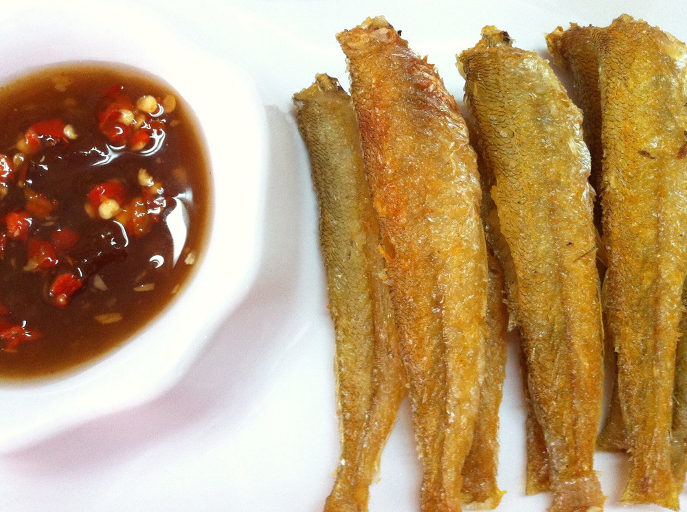 ca-bong-cat-chien-gion