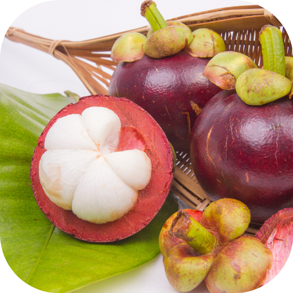Sinh tố măng cụt Kingfoodmart