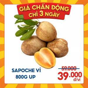 Sapoche vỉ 800g up (1 Vỉ)