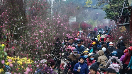Dự báo thời tiết Tết nguyên đán 2026 ở miền bắc