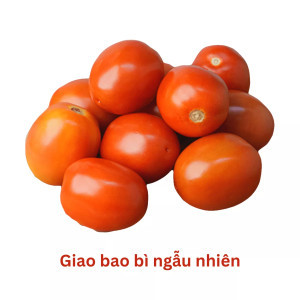 Cà chua size nhỏ túi 500g (1 Túi)