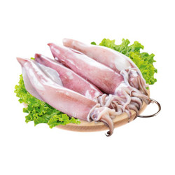 Mực ống nguyên con size 14-20 con/kg 250g (1 vỉ)