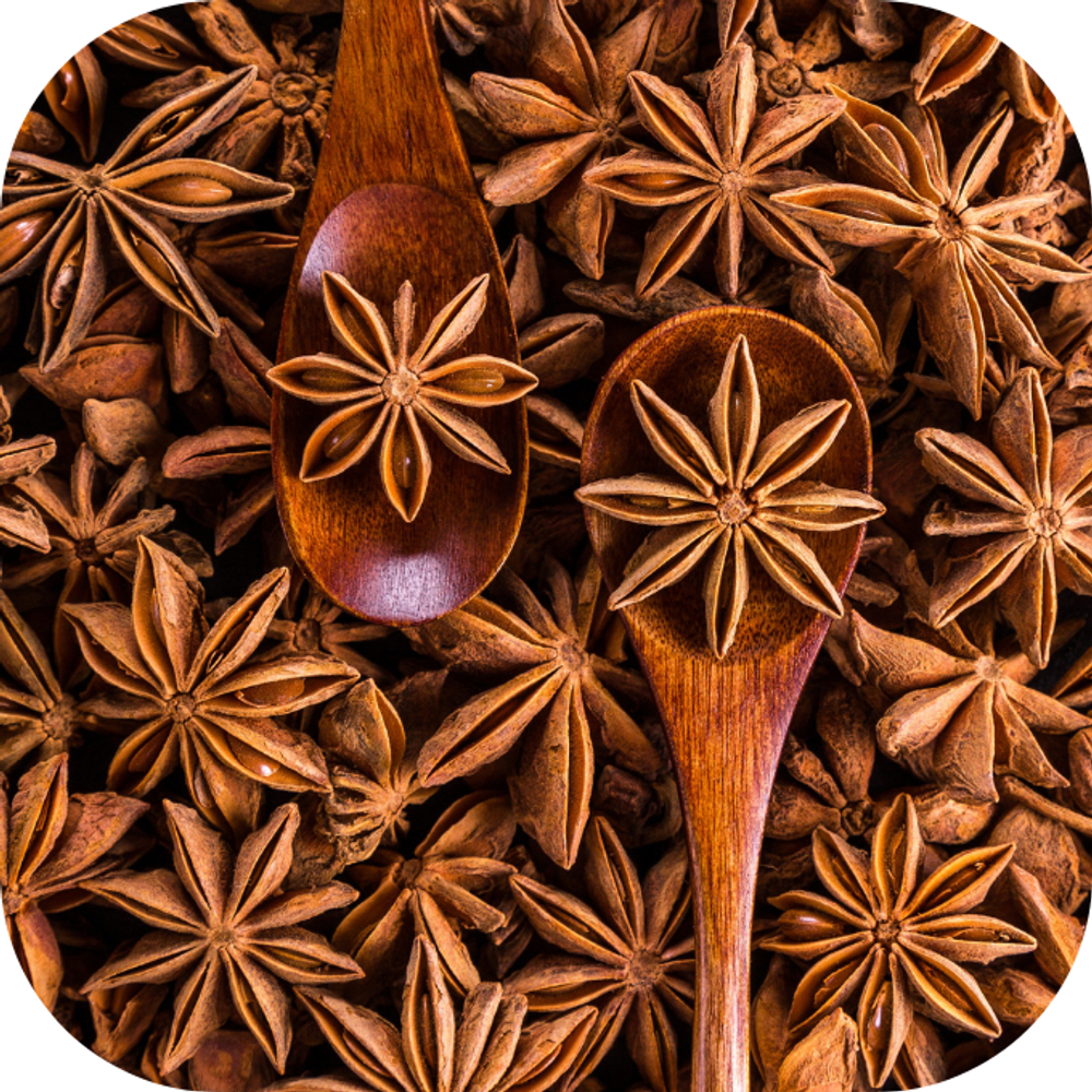 lợi ích tuyệt vời của hạt hồi Kingfoodmart