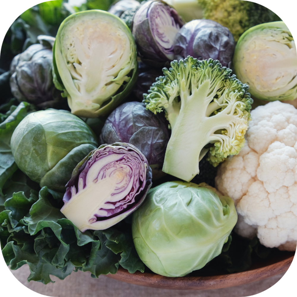 rau họ cải Kingfoodmart