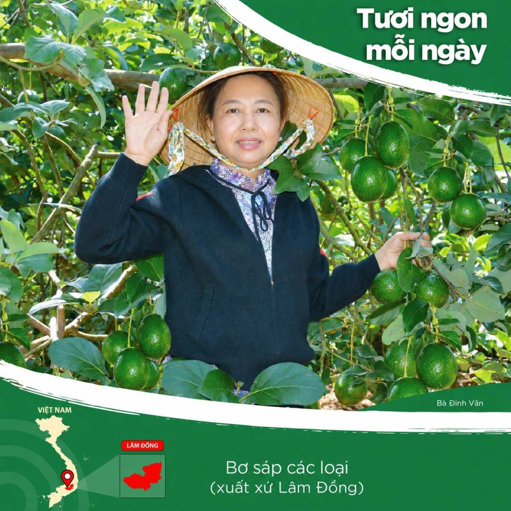 Công Ty TNHH Nông Sản Văn Phương
