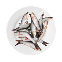 Cá linh vỉ 350g (1 Vỉ)