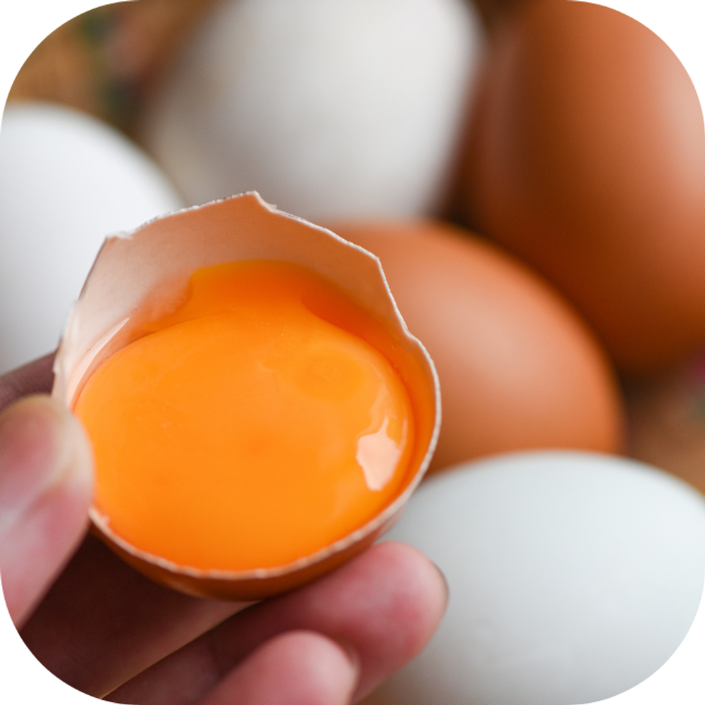 Lòng đỏ trứng Kingfoodmart