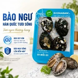 Combo 4 con bào ngư Hàn Quốc 266-294g
