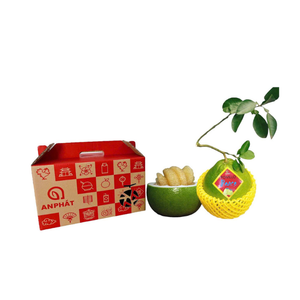 Giỏ quà bưởi đường lá cam Tân Triều hộp 2 trái (1 Hộp)
