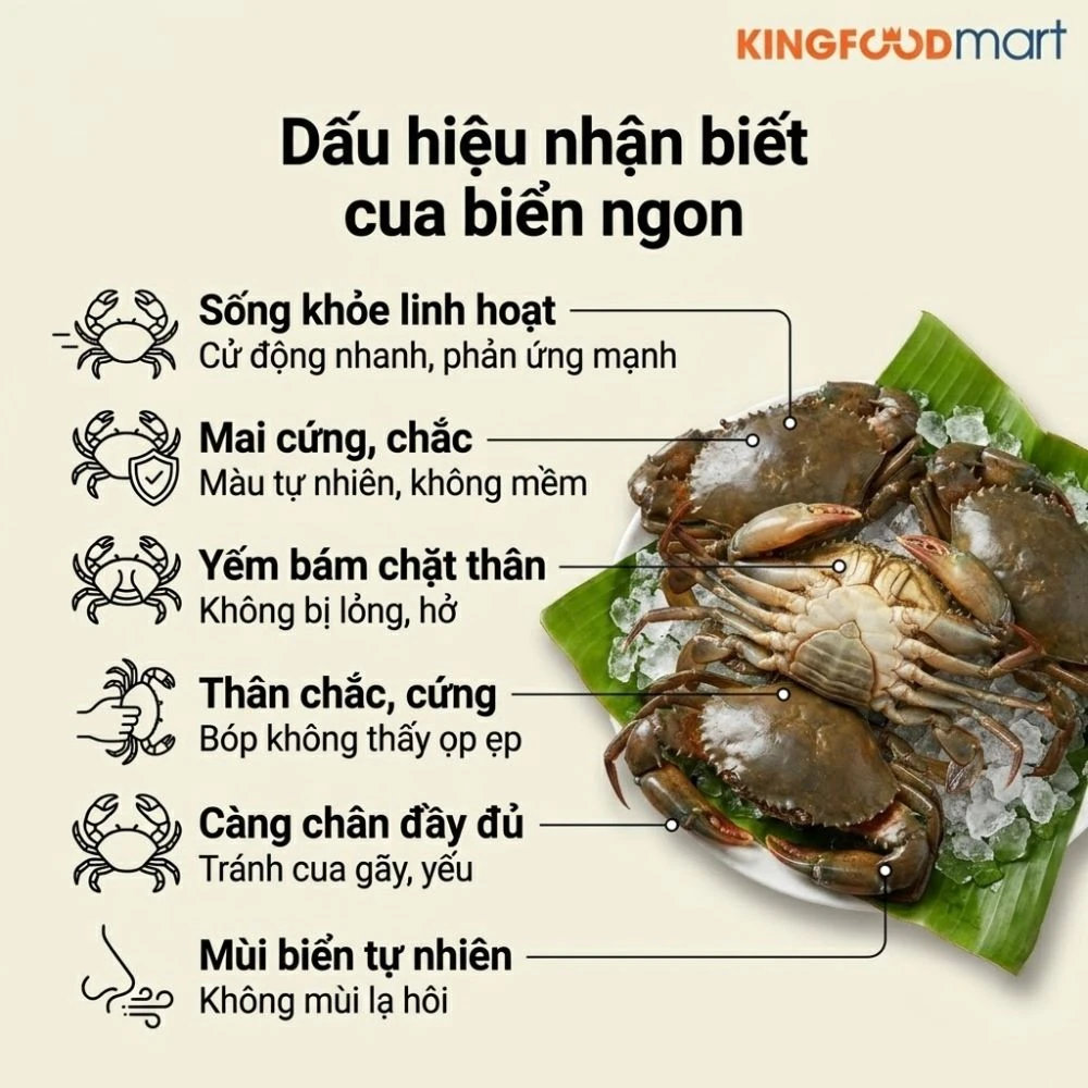 Giá cua biển hôm nay bao nhiêu 1kg? 