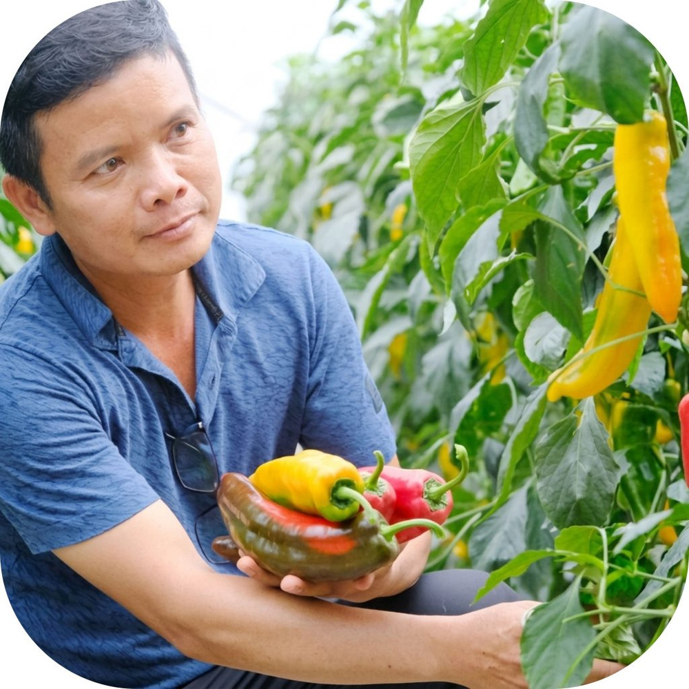 Mai-Khoi-Farm-3