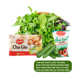 Combo bún chả giò chay