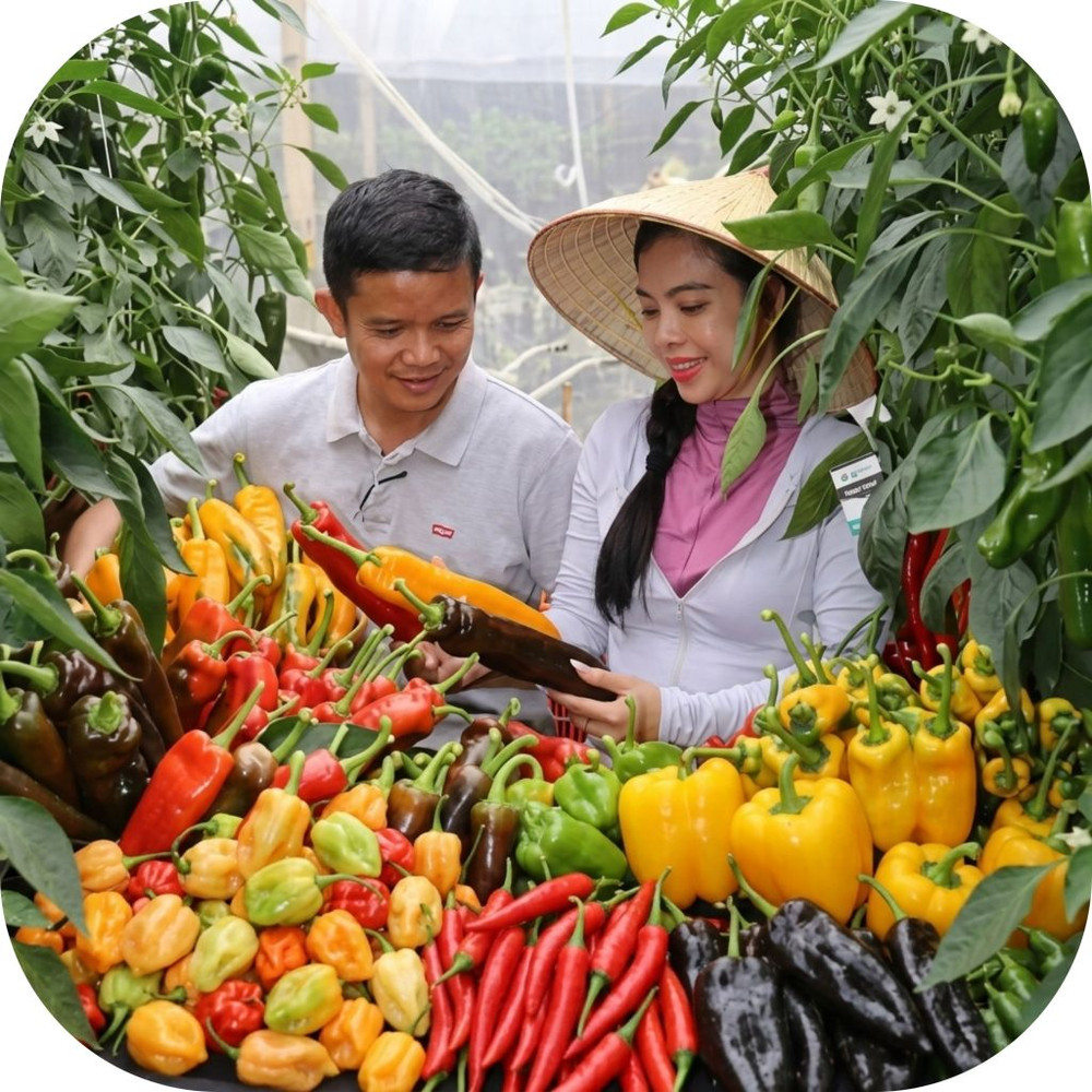 Mai-Khoi-Farm-6