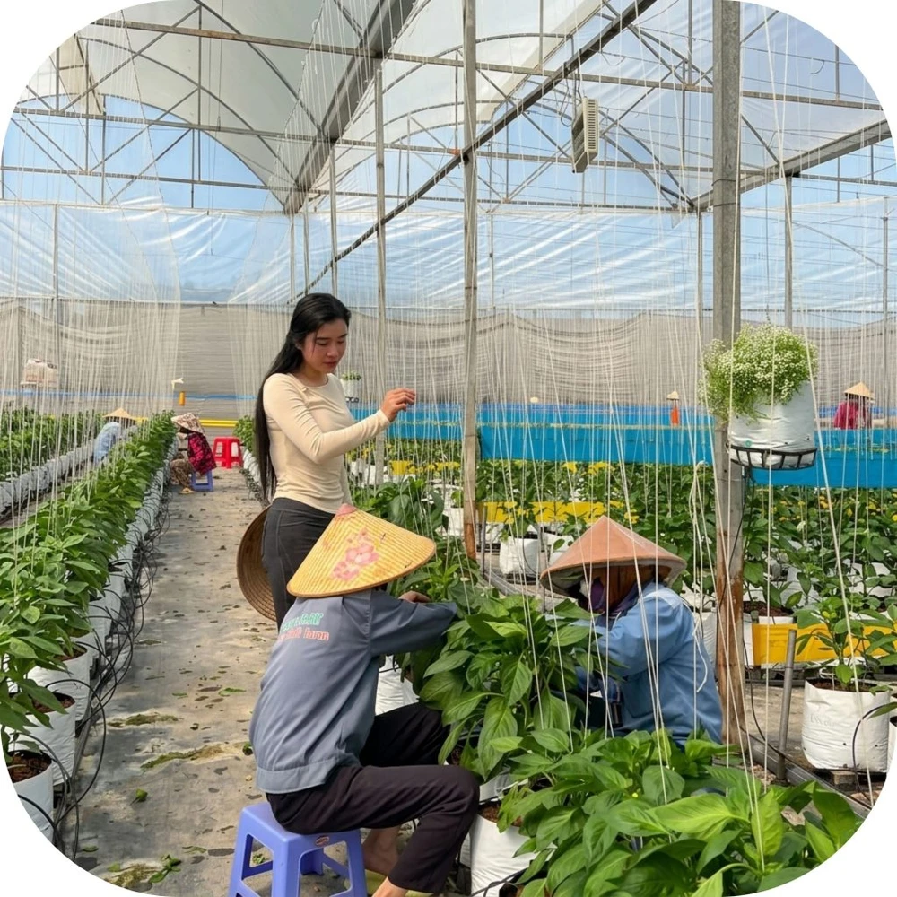 Mai-Khoi-Farm-5