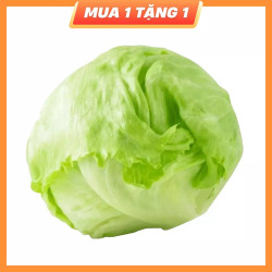 Xà lách Iceberg gói 350g (1 Gói)