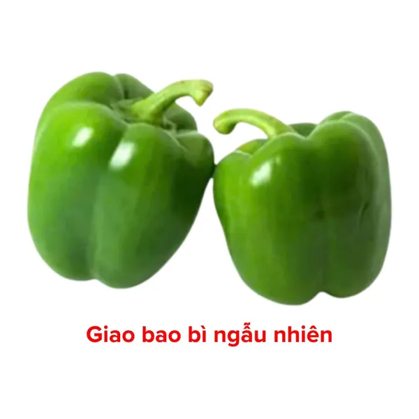 Ớt chuông xanh Đà Lạt VietGAP quả từ 200g