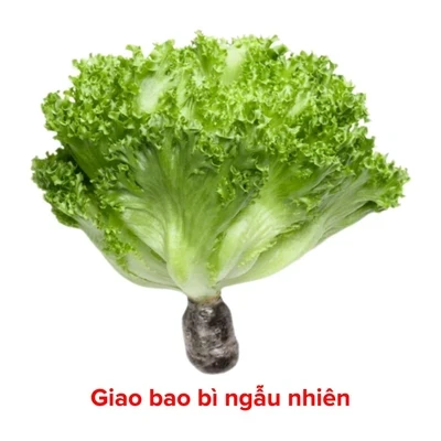 Xà lách thuỷ tinh thuỷ canh gói 200g