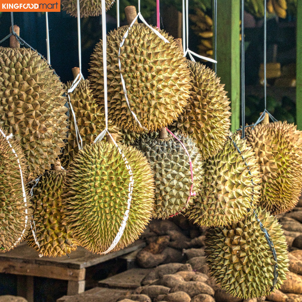 Sầu riêng Ri6 và Musang King với màu vàng đặc trưng, "cực phẩm" luôn được săn đón tại các nhà vườn với mức giá ổn định.