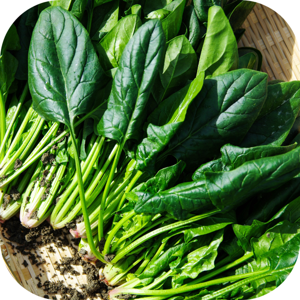 Rau cải Kingfoodmart