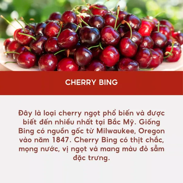 Thùng 5kg cherry Mỹ