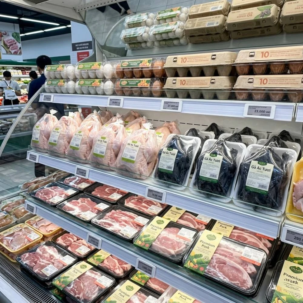 Tick Xanh Trách Nhiệm Kingfoodmart là gì? Hướng dẫn chọn sản phẩm xanh cho người tiêu dùng hiện đại