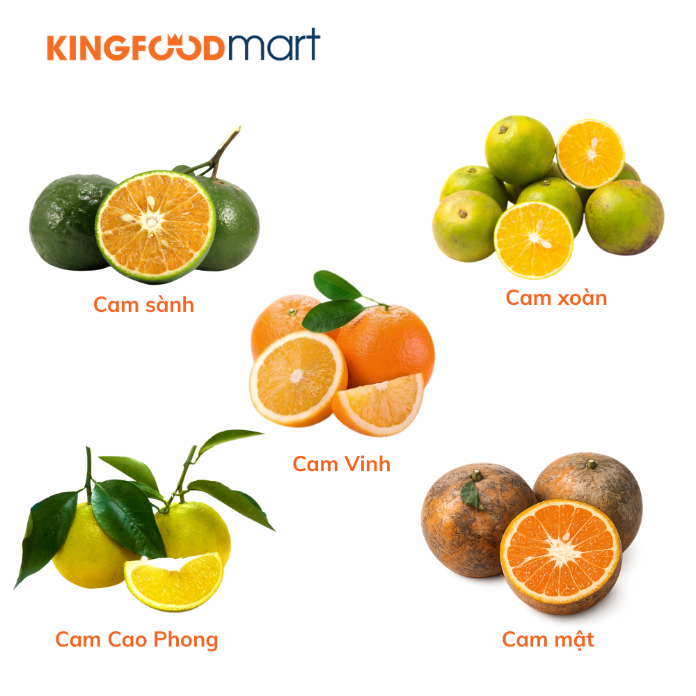 Đặc trưng và các vùng trồng cam nổi tiếng tại Việt Nam.
