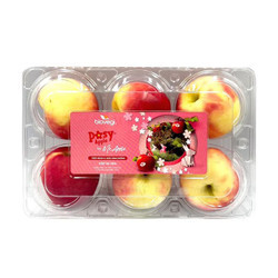 Táo New Zealand Posy 6 trái (1 Hộp)