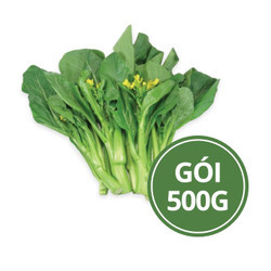 Cải ngồng (cải ngọt hồng kông) VietGAP Hưng Phát 500g (1 gói)