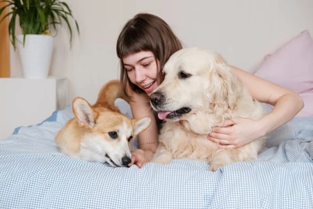 7 cách bảo vệ thú cưng của bạn trong mùa lễ – Nhất là trong các hoạt động Giáng Sinh