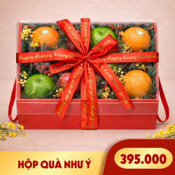 Hộp quà trái cây Như Ý (1 Hộp)