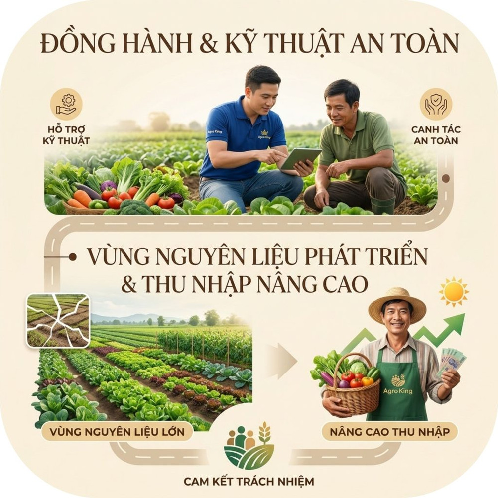 Agro-King-7