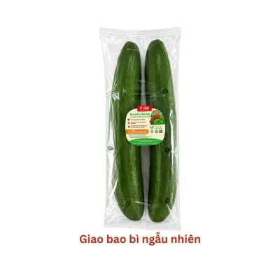 Dưa leo giống Nhật/Hà Lan từ 450g
