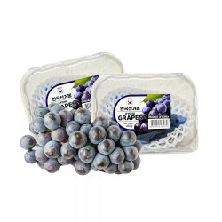 Nho rượu Kyoho Hàn Quốc 450g (1 Hộp)