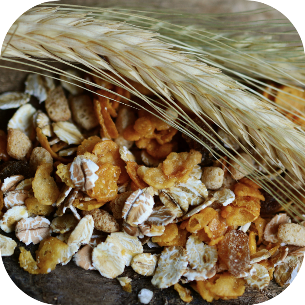 Ngũ cốc Kingfoodmart