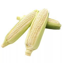 Bắp nếp cặp (2 trái)