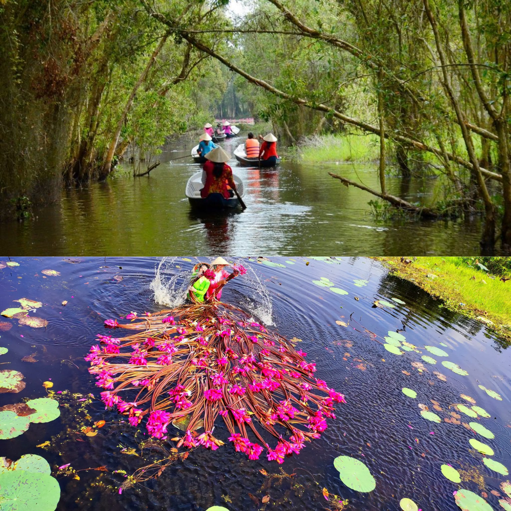 Nét bình dị vùng Đồng Tháp Mười tại làng nổi Tân Lập