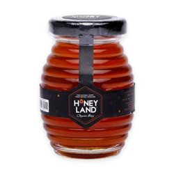 Mật ong hoa rừng Honey Land 110g (1 Hũ)