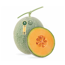 Dưa lưới biển hữu cơ Hằng Nga