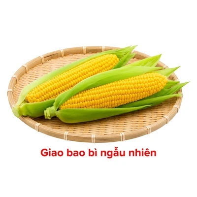 Bắp giống Mỹ cặp 500g