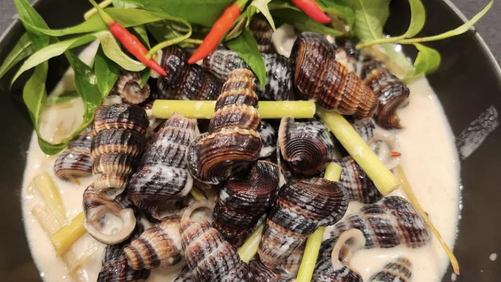 Ốc len xào dừa - món ốc "quốc dân" được yêu thích nhất tại các quán ốc ngon Nha Trang. (Nguồn: Internet)