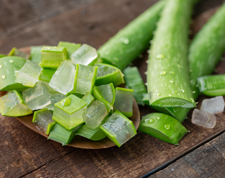 Cách sử dụng nha đam để có một làn da căng mọng